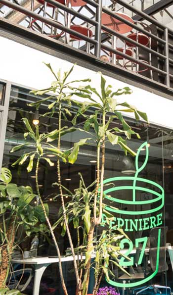 pépinière pépinière
